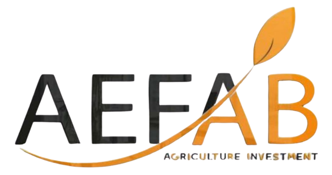 AEFAB